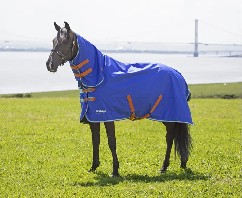 Shires Tempest Original 50g Combo Turnout Rug in Royal-1
